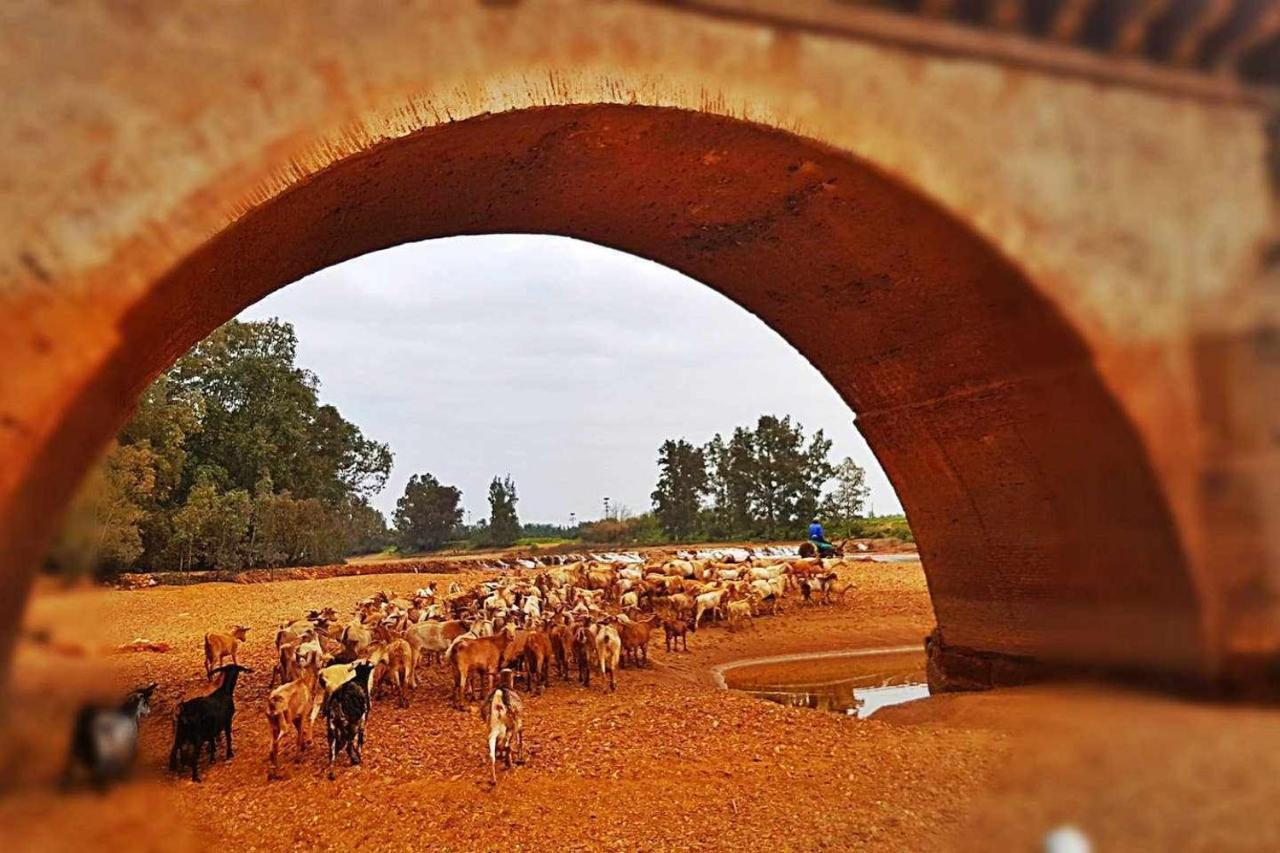 Casa Rural Finca Real De Niebla エクステリア 写真