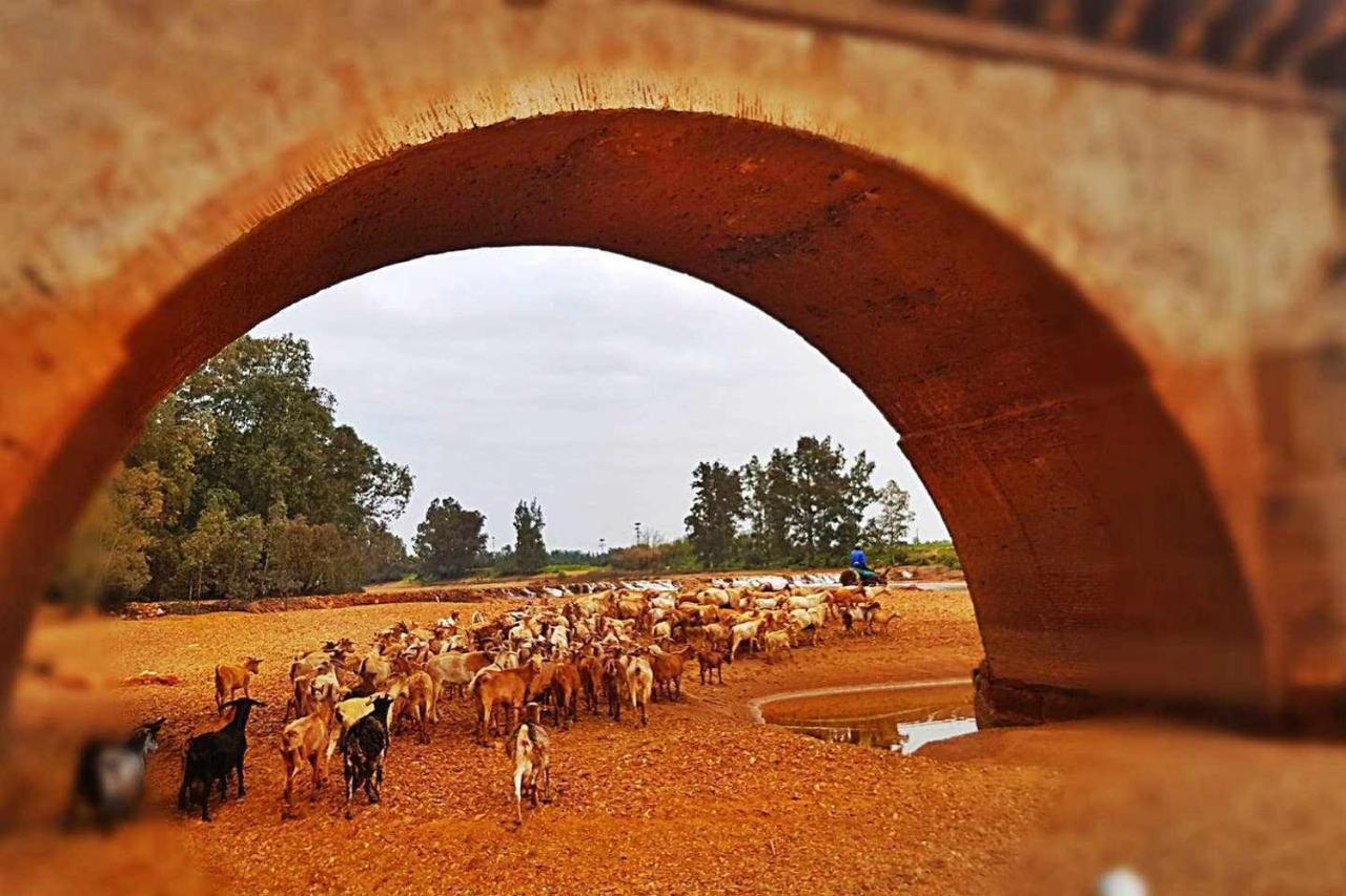 Casa Rural Finca Real De Nieblaゲストハウス エクステリア 写真