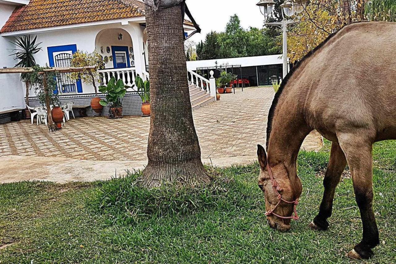 Casa Rural Finca Real De Nieblaゲストハウス エクステリア 写真