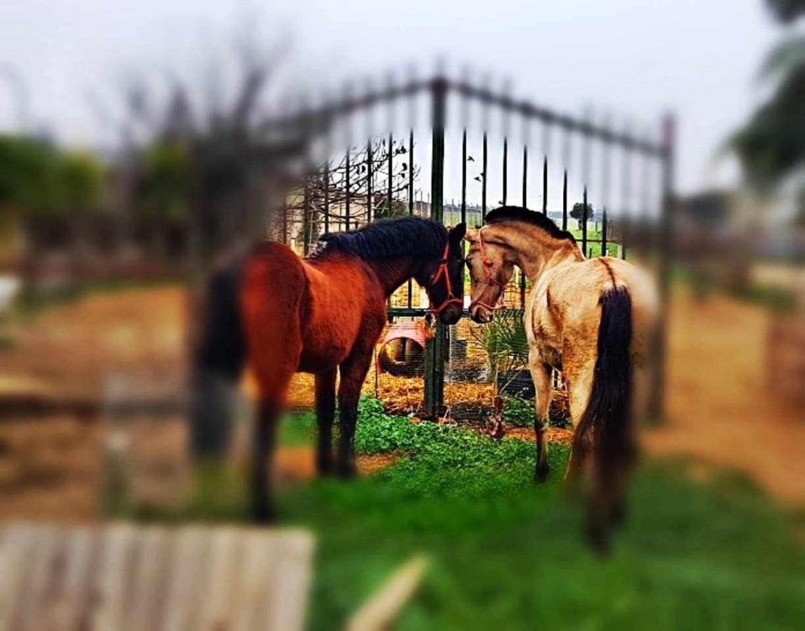 Casa Rural Finca Real De Nieblaゲストハウス エクステリア 写真