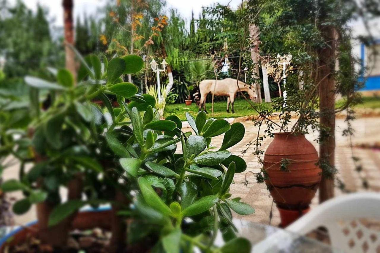 Casa Rural Finca Real De Niebla エクステリア 写真